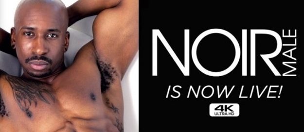 NoirMale