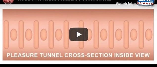 Pleasure Pocket Stroker WTC400 Video Demo