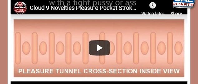 Pleasure Pocket Stroker WTC401 video demo