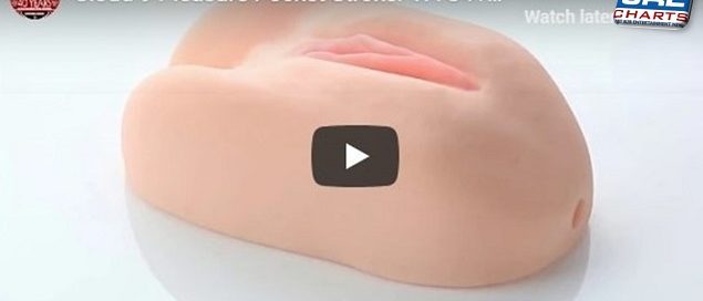 Cloud 9 Pleasure Pocket Stroker WTC412 Dual End Video Demo