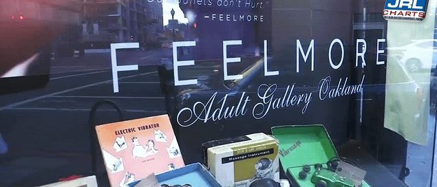 Feelmore Adult Boutique Is the Setting for Amazon's Dyke Central