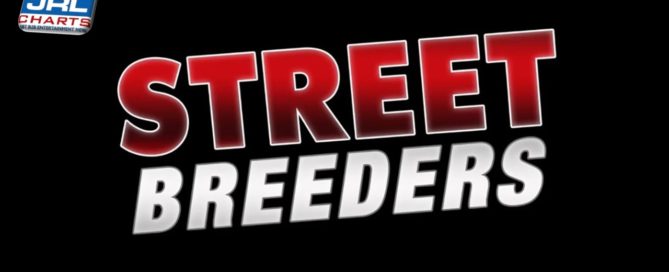 Eric Videos Present 10 Studs Starring In Street Breeders on DVD