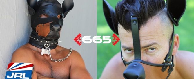 665 Unveil Dog Training Hood, Dog Training Muzzle for Fetish Lovers
