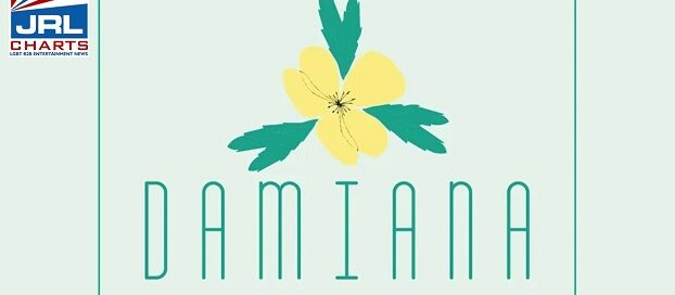 Damiana Consulting to Produce Interactive WOW Tech Academy-2021-01-26-jrl-charts