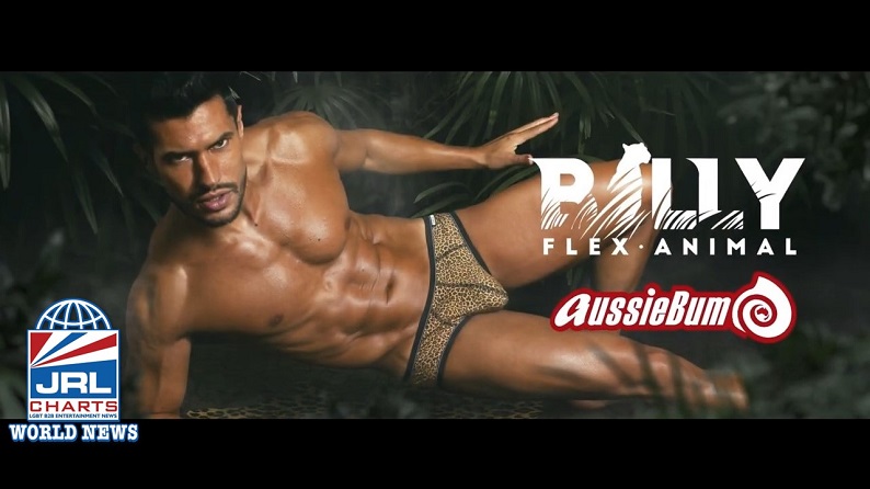 Riot Blue See-Through AussieBum Men's Gay Underwear/Briefs 