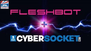 gay porn biz-NSFW Army-Cybersocket-merger-Fleshbot Gay-jrlchartsdotcom