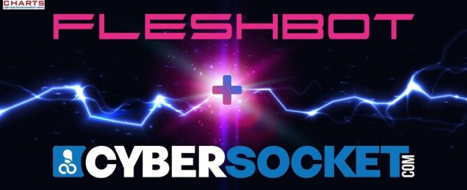 gay porn biz-NSFW Army-Cybersocket-merger-Fleshbot Gay-jrlchartsdotcom