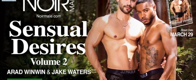 Sensual Desires 2 DVD will be Unleashed on March 29-gay porn-jrl charts