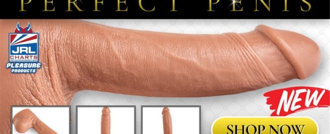 Hankeys Toys-Perfect Penis Realistic Dildo-sex toys new releases-jrl charts