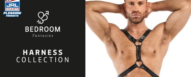 Watch-Bedroom-Fantasies-Harness-Collection-from-ONE-DC-Wholesale