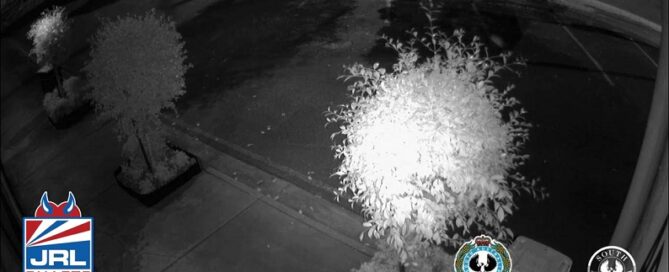 Watch-Adult Bliss Erotiq Boutique-burglary-caught-camera-by-CCTV-JRL CHARTS