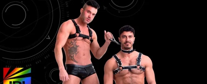 Vegan Bulldog Harness by 665Leather – durable, vegan-friendly, and Pride-ready