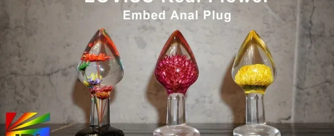 Loviss Real Flower Embed Anal Plug with hand-selected dried flowers embedded in clear body-safe resin