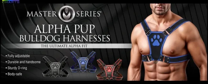 Close-up view of XR Brands Alpha Pup Bulldog Harness with paw print chestplate and D-ring