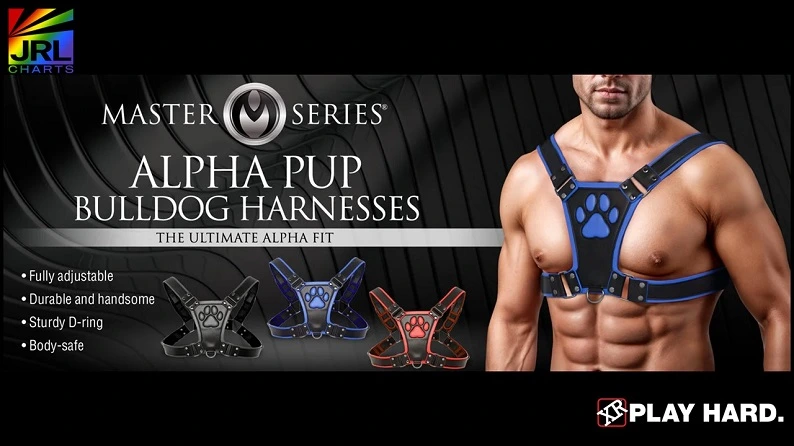 Close-up view of XR Brands Alpha Pup Bulldog Harness with paw print chestplate and D-ring