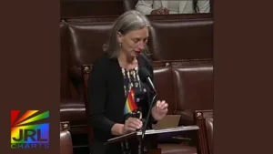 Rep. Maxine Dexter speaks out against the Pride flag ban amendment to the National Defense Authorization Act | JRL CHARTS LGBT Politics