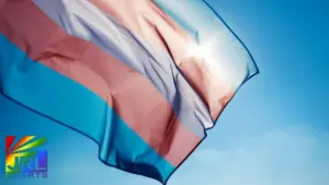 Transgender Flag symbolizing transgender rights and military policy coverage on JRL CHARTS