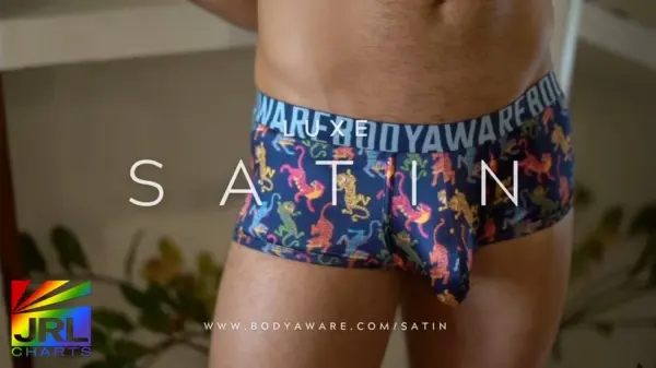 Model wearing BodyAware satin men’s underwear styles — lookbook showcasing jockstraps, thongs, briefs, and trunks