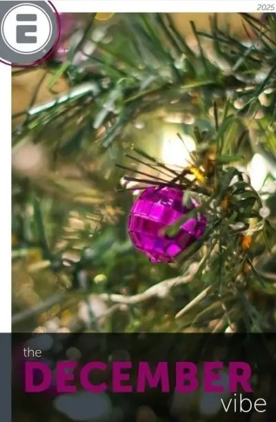 Cover image of Eldorado’s December Vibe digital catalog featuring Classic Brands, Doc Johnson, Lovense, Nasstoys, Evolved, Creative Conceptions and more.