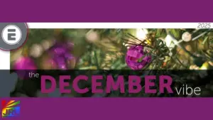 Eldorado unveils its December Vibe digital catalog featuring top-selling sex toy brands for adult retailers in 2025.