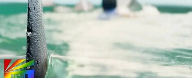 DEEP WATER (2026) survival thriller starring Aaron Eckhart and Ben Kingsley featured on JRL CHARTS Movie Trailers.