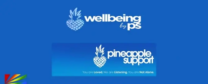 Pineapple Support Wellbeing by PS corporate mental health program promoting therapy sessions and workplace wellness support.
