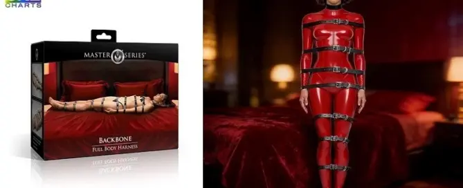 XR Brands Backbone Full Body Harness Master Series retail packaging showcasing the adjustable multi-strap bondage harness designed for adult retailers.