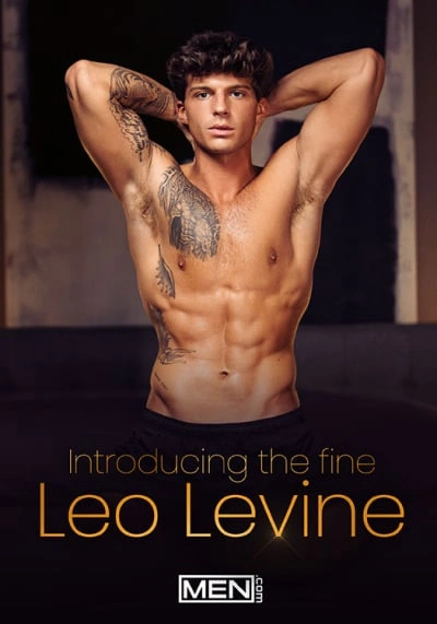 Official DVD poster for MEN's Introducing the Fine Leo Levine Best-Of DVD compilation.